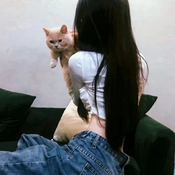 射月