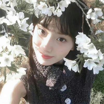 占卜师们